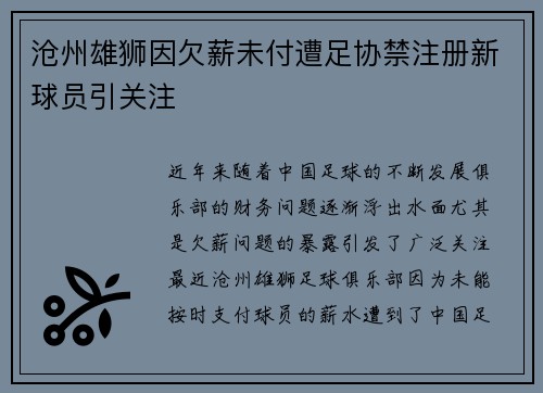 沧州雄狮因欠薪未付遭足协禁注册新球员引关注 沧州雄狮因欠薪未付遭足协禁注册新球员引关注